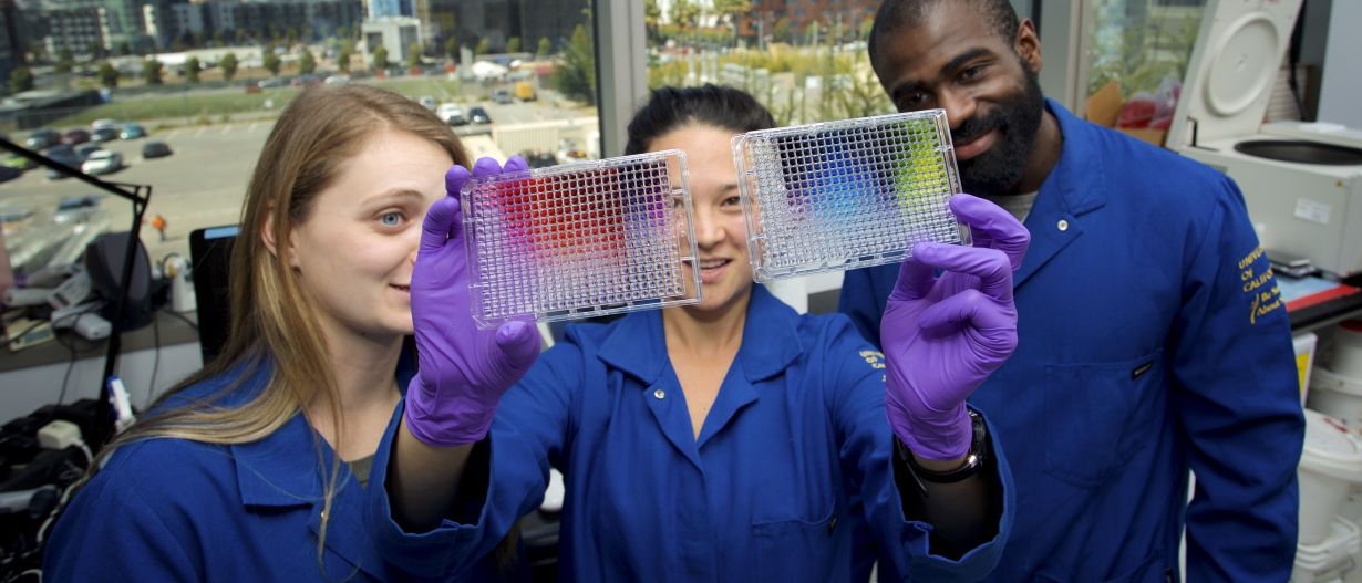 gloved scientist inspects colored trays while two others look on.
