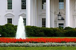 The White House.